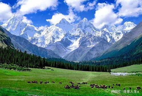 歐洲人毀滅歐洲,西班牙南部沙漠化 當地網友 只有中國人在種樹