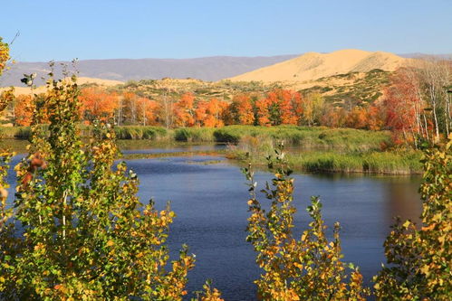 新疆資源生態環境數據庫 構建綠色絲路數字基石