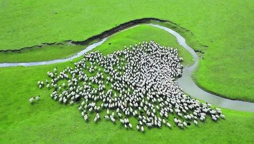 新疆 以環(huán)保為基，升級(jí)設(shè)施與服務(wù)，打造高品質(zhì)旅游新名片