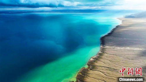 阿爾金山 生態(tài)畫卷徐徐展開(kāi) 野生動(dòng)物家園煥新顏